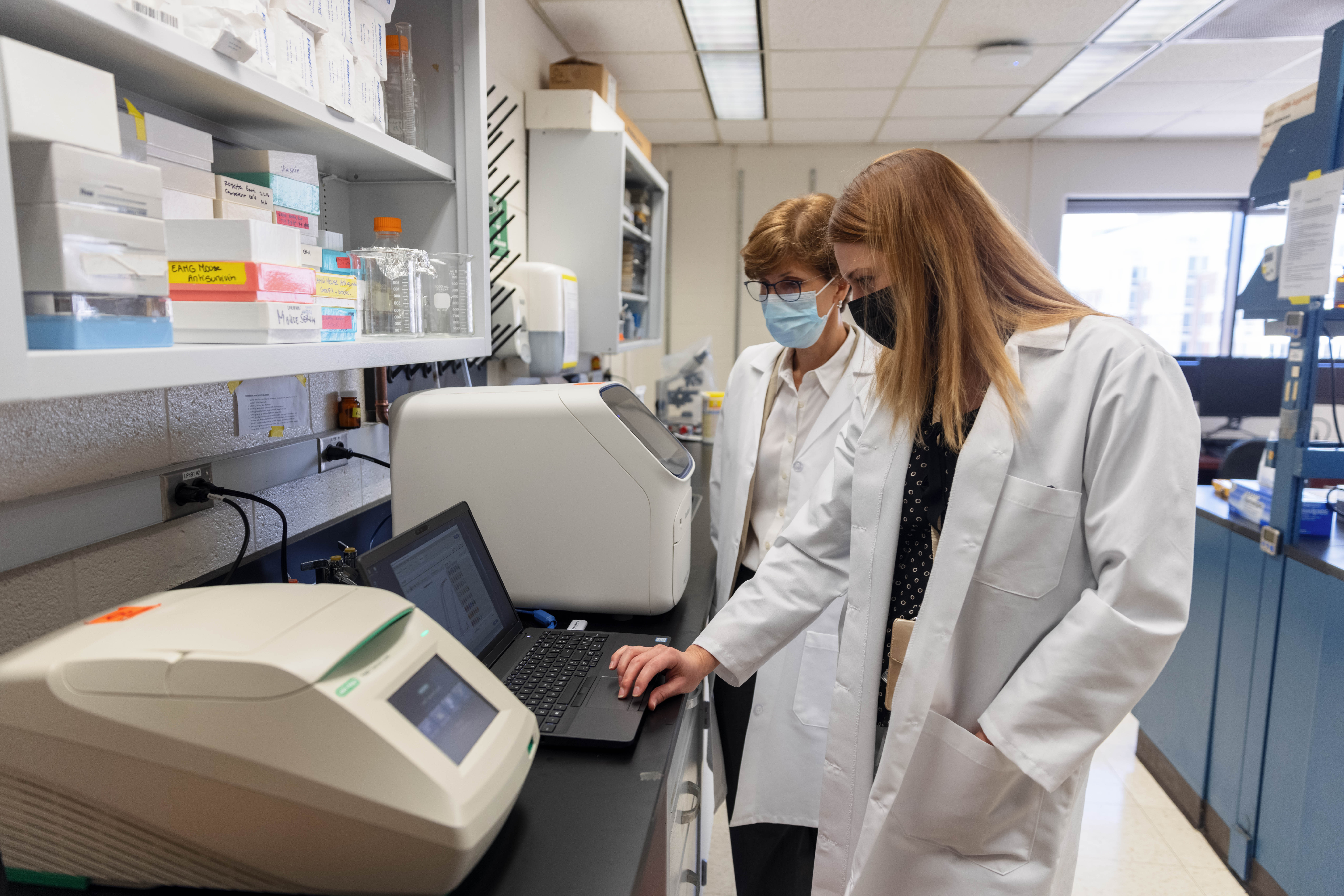 Biomedical researchers review content on a laptop inside of the Kaminski Lab